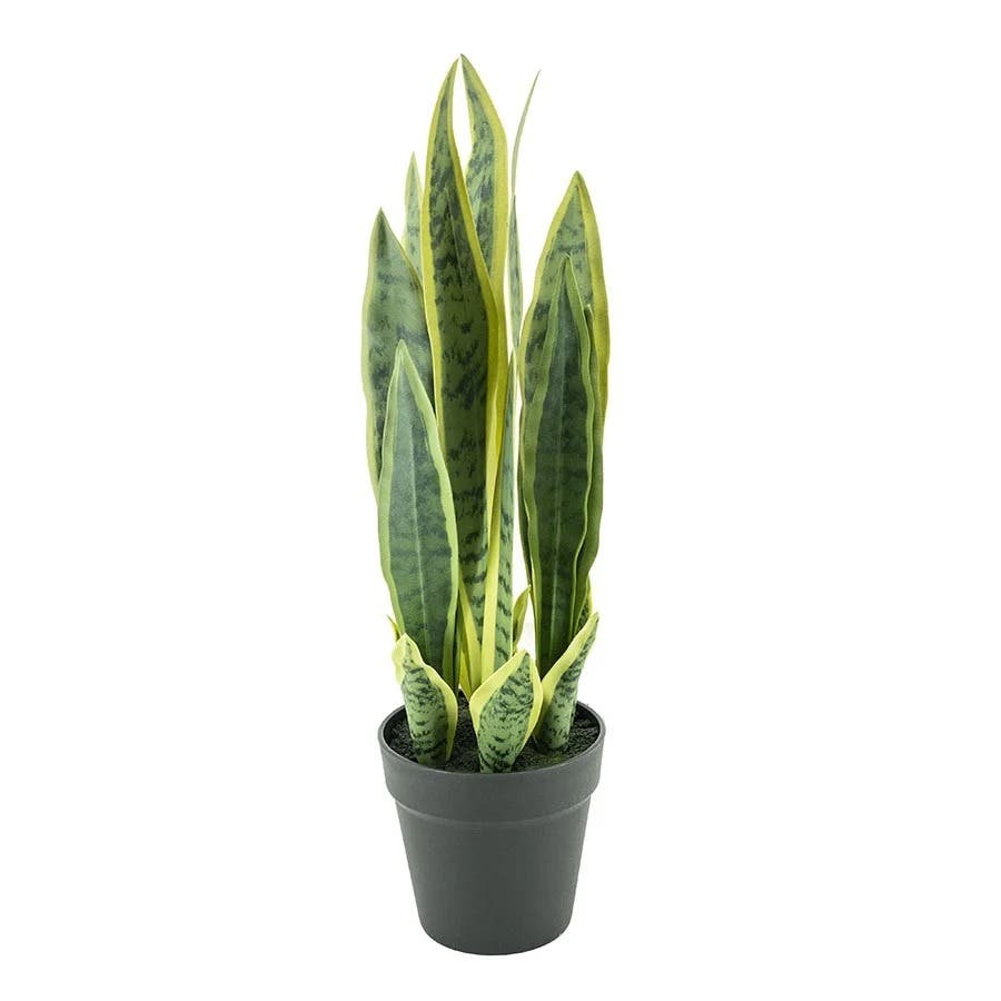By-Boo Kunstplant Sansevieria – Small