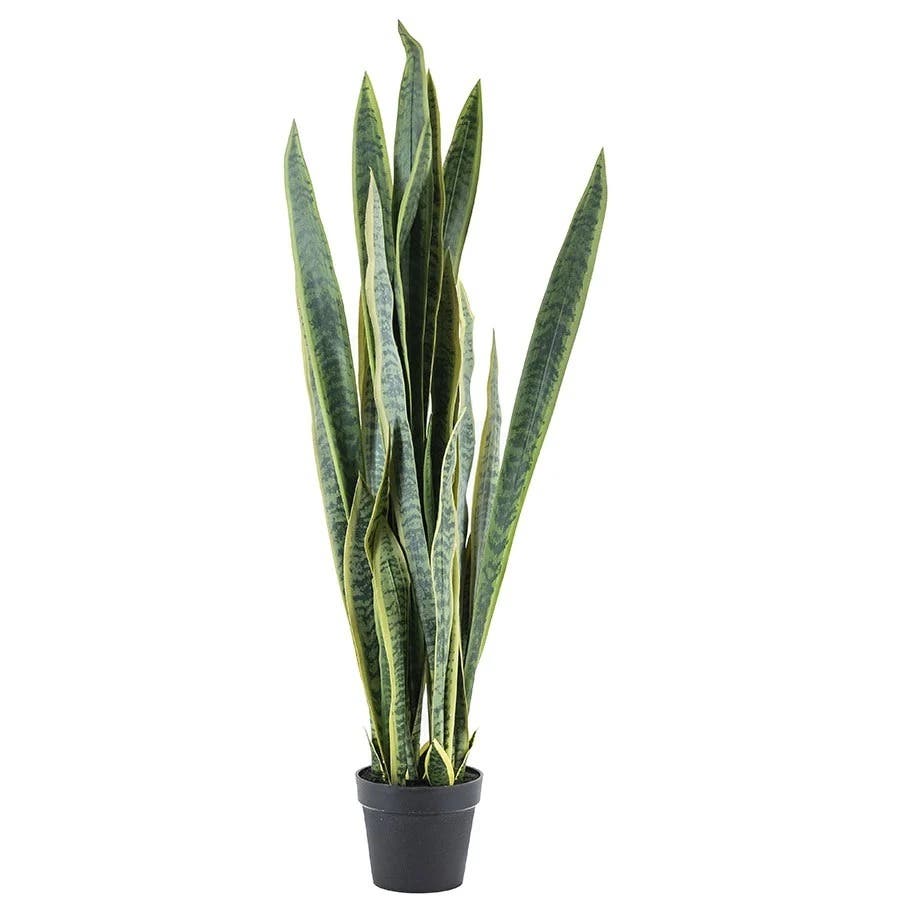 By-Boo Kunstplant Sansevieria – Large