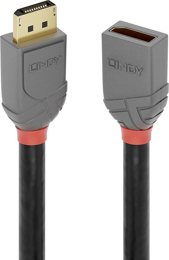 LINDY 36496 DisplayPort-kabel DisplayPort Verlengkabel DisplayPort-stekker, DisplayPort-bus 1.00 m Antraciet, Zwart, Roo
