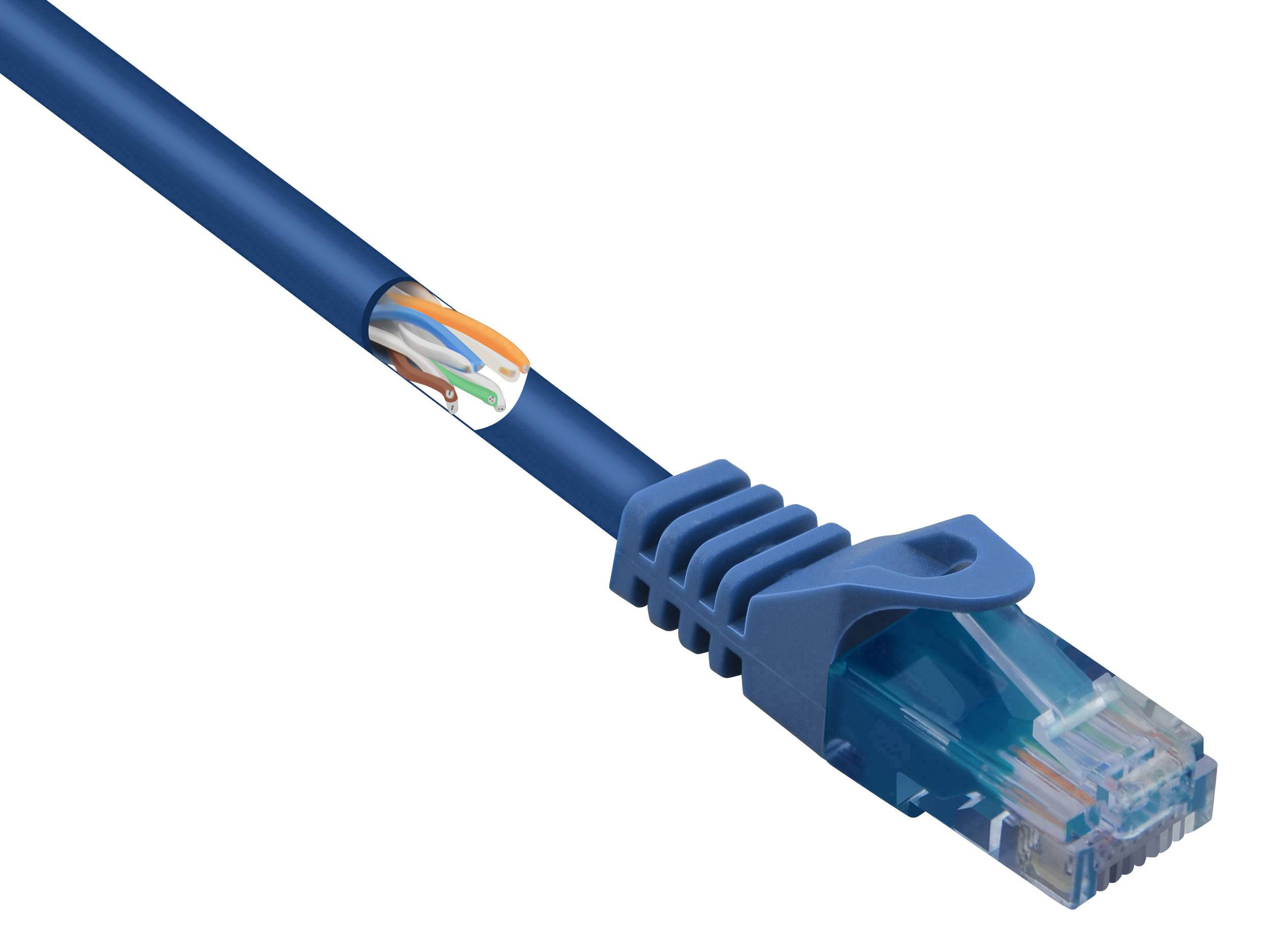 Renkforce RF-5044020 RJ45 Netwerkkabel, patchkabel CAT 5e U/UTP 3.00 m Blauw Snagless, Halogeenvrij 1 stuk(s)
