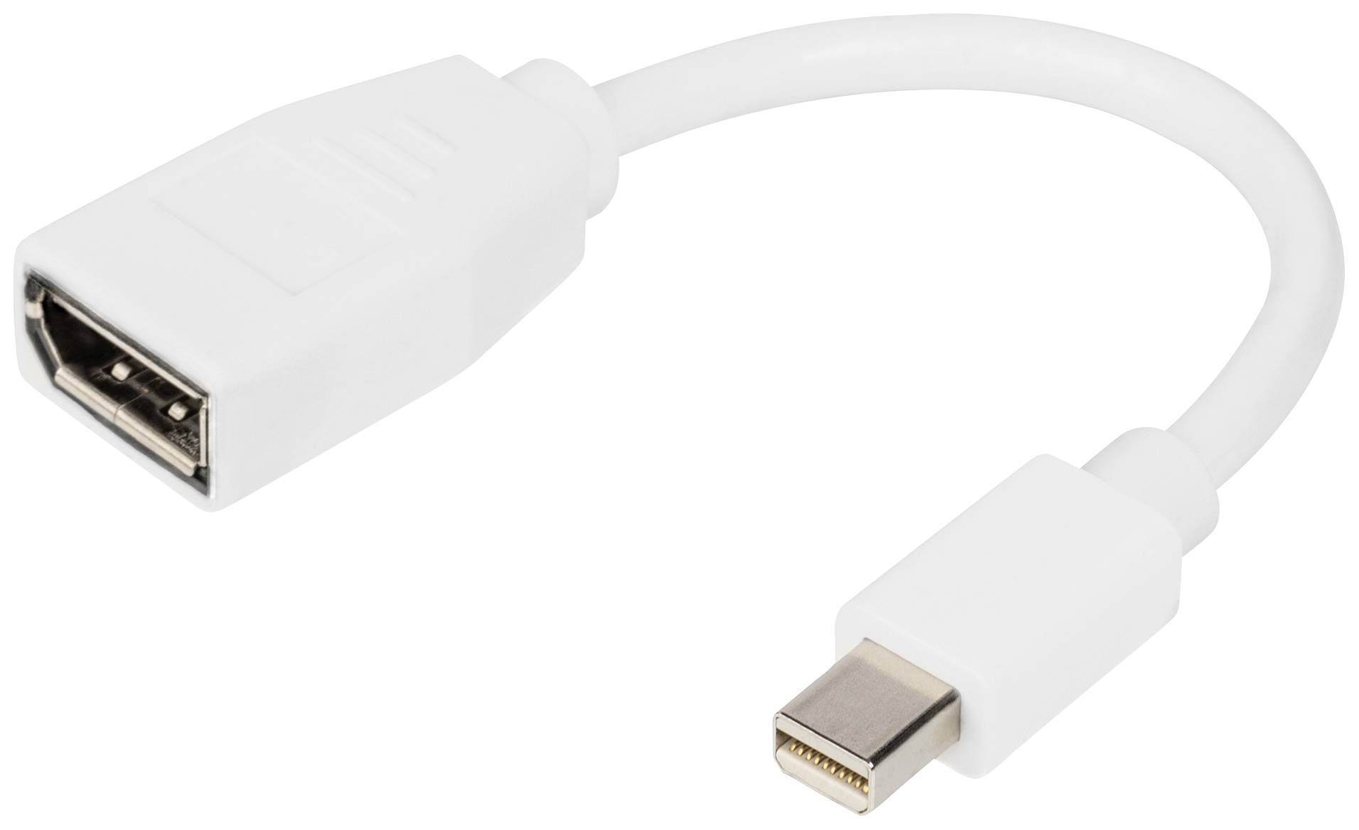 Digitus DB-340405-001-W DisplayPort-kabel DisplayPort Adapter DisplayPort-stekker, Mini DisplayPort-stekker 0.15 m Wit
