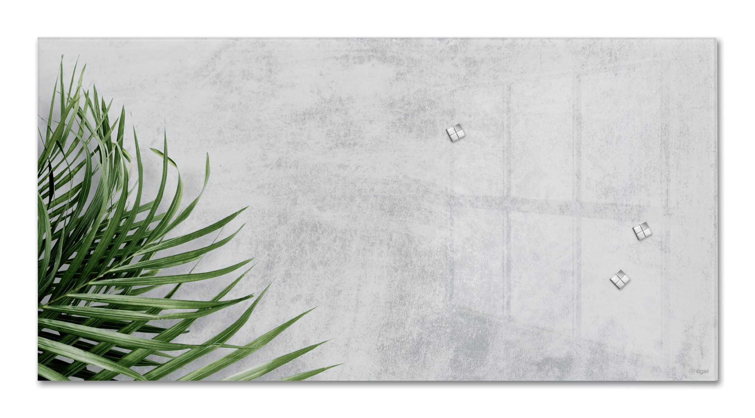 Sigel Design Botanic GL288 Glazen magneetbord (b x h) 910 mm x 460 mm Grijs, Groen