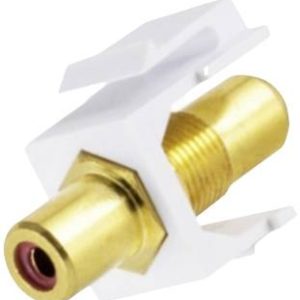 BKL Electronic 2900014 Koppelstuk 1 stuk(s) BKL Electronic 2900014 Koppelstuk 1 stuk(s)