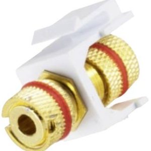 BKL Electronic 2900016 Koppelstuk 1 stuk(s) BKL Electronic 2900016 Koppelstuk 1 stuk(s)