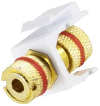 BKL Electronic 2900016 Koppelstuk 1 stuk(s)