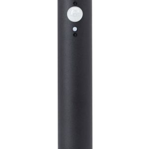 Brilliant G40406/06 Garvina Staande lamp op zonne-energie met bewegingsmelder LED-module LED vast ingebouwd 3 W Zwart Brilliant G40406/06 Garvina Staande lamp op zonne-energie met bewegingsmelder LED-module LED vast ingebouwd 3 W Zwart