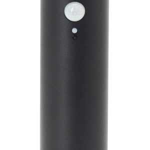 Brilliant G40411/06 Tulip Staande lamp op zonne-energie met bewegingsmelder LED-module LED vast ingebouwd 3 W Zwart Brilliant G40411/06 Tulip Staande lamp op zonne-energie met bewegingsmelder LED-module LED vast ingebouwd 3 W Zwart