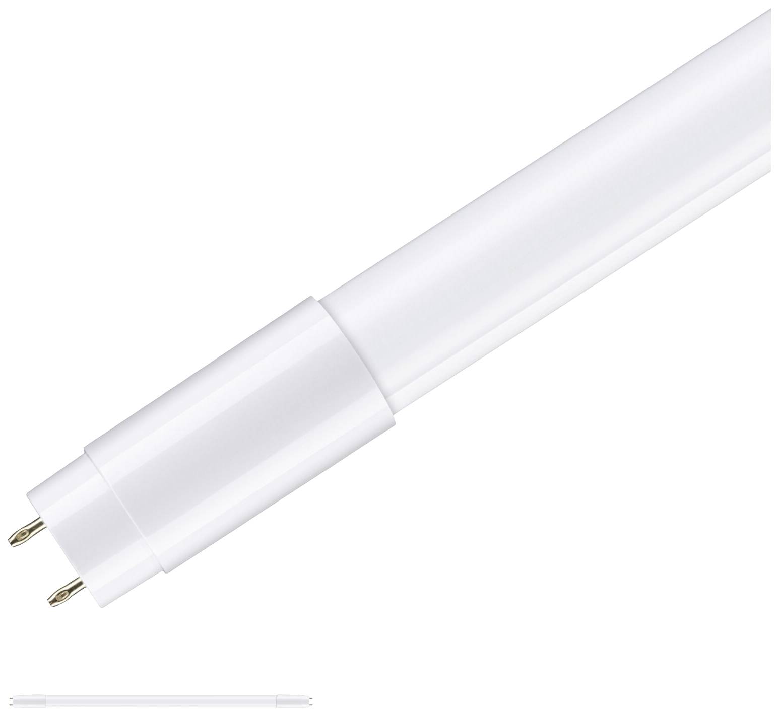 Paulmann LED-buis- Energielabel: F (A - G) G13 T8 11 W Warmwit 1 stuk(s) (Ø) 27 mm