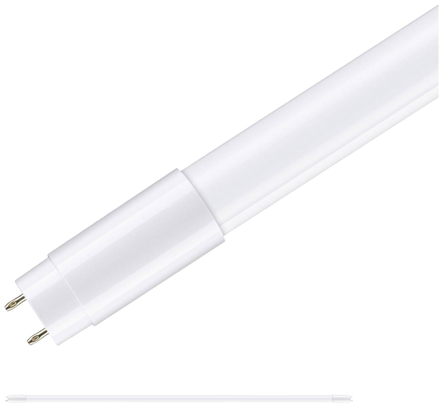 Paulmann LED-buis- Energielabel: E (A - G) G13 T8 22 W Warmwit 1 stuk(s) (Ø) 27 mm