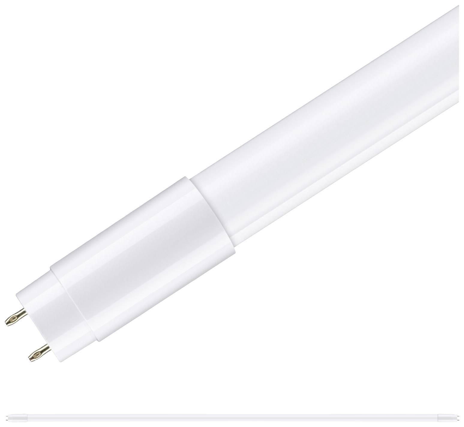 Paulmann LED-buis- Energielabel: E (A - G) G13 T8 25 W Warmwit 1 stuk(s) (Ø) 27 mm