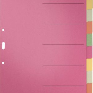 Leitz 43580000 Register DIN A4 blanco Karton (dun) Meerdere kleuren 6 tabbladen 43580000