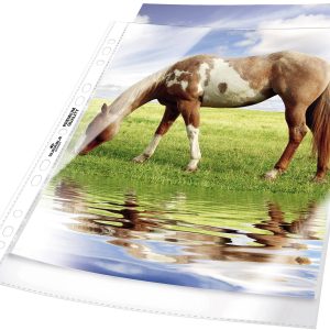 Durable Showtassen 2677 DIN A4 Polypropyleen 0.08 mm Glas (helder) 267719 50 stuk(s) Durable Showtassen 2677 DIN A4 Polypropyleen 0.08 mm Glas (helder) 267719 50 stuk(s)