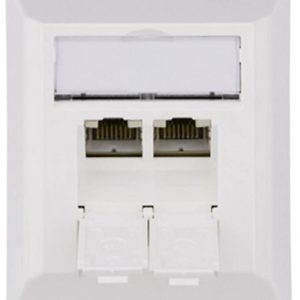 Telegärtner Netwerkdoos Opbouw (op muur) CAT 6A 2 poorten Alpine-wit Telegärtner Netwerkdoos Opbouw (op muur) CAT 6A 2 poorten Alpine-wit