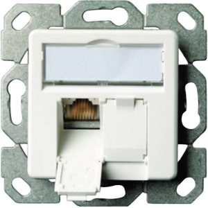 Telegärtner 100022942 Netwerkdoos Inbouw (in muur) Inzet met centraalstuk CAT 6 2 poorten Alpine-wit