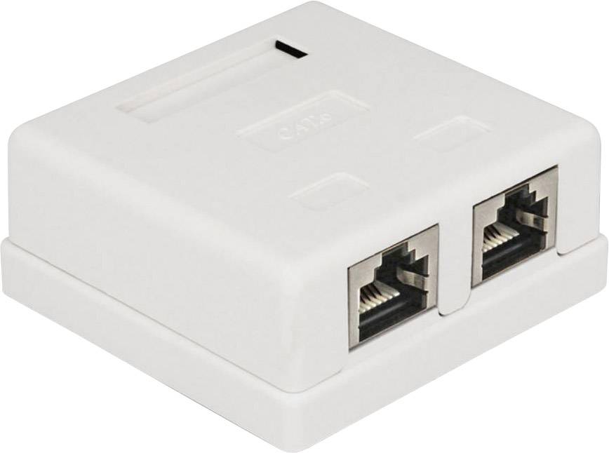 Delock 86269 Netwerkdoos Inbouw (in muur) Inzet met centraalstuk en frame CAT 6 2 poorten Wit