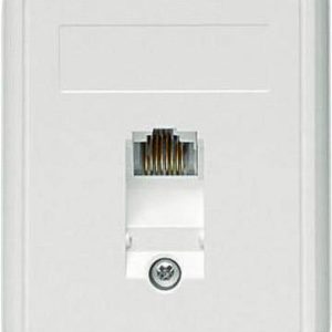 Telegärtner 100022998 Netwerkdoos Opbouw (op muur) CAT 5e 1 poort Alpine-wit