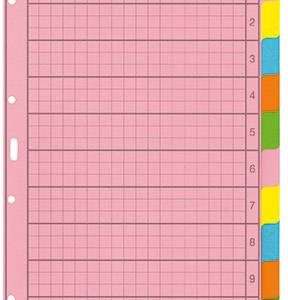 Leitz 4340 Register DIN A4 blanco Manila papier Meerdere kleuren 10 tabbladen 43400000