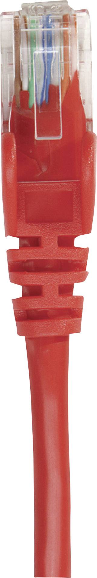 Intellinet 739801 RJ45 Netwerkkabel, patchkabel CAT 6 S/FTP 0.25 m Rood Folie afscherming, Afscherming gevlochten, Halog