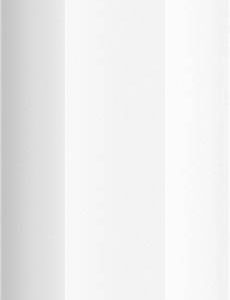 Apple Pencil (2. Generation) Touchpen Met drukgevoelige punt, Met precieze schrijfpunt Wit Apple Pencil (2. Generation) Touchpen Met drukgevoelige punt, Met precieze schrijfpunt Wit