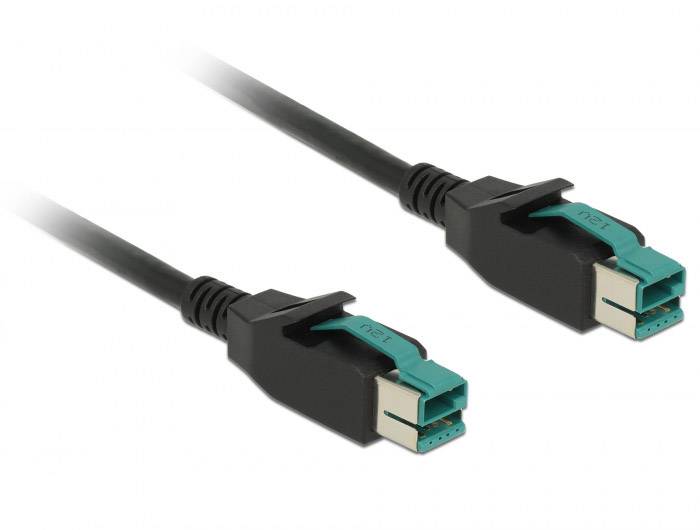 Delock 85493 USB-kabel USB 2.0 PoweredUSB 12V stekker 2.00 m Zwart