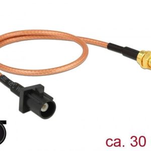 Delock WiFi-antenne Aansluitkabel [1x Fakra-stekker – 1x SMB-stekker] 30.00 cm Transparant
