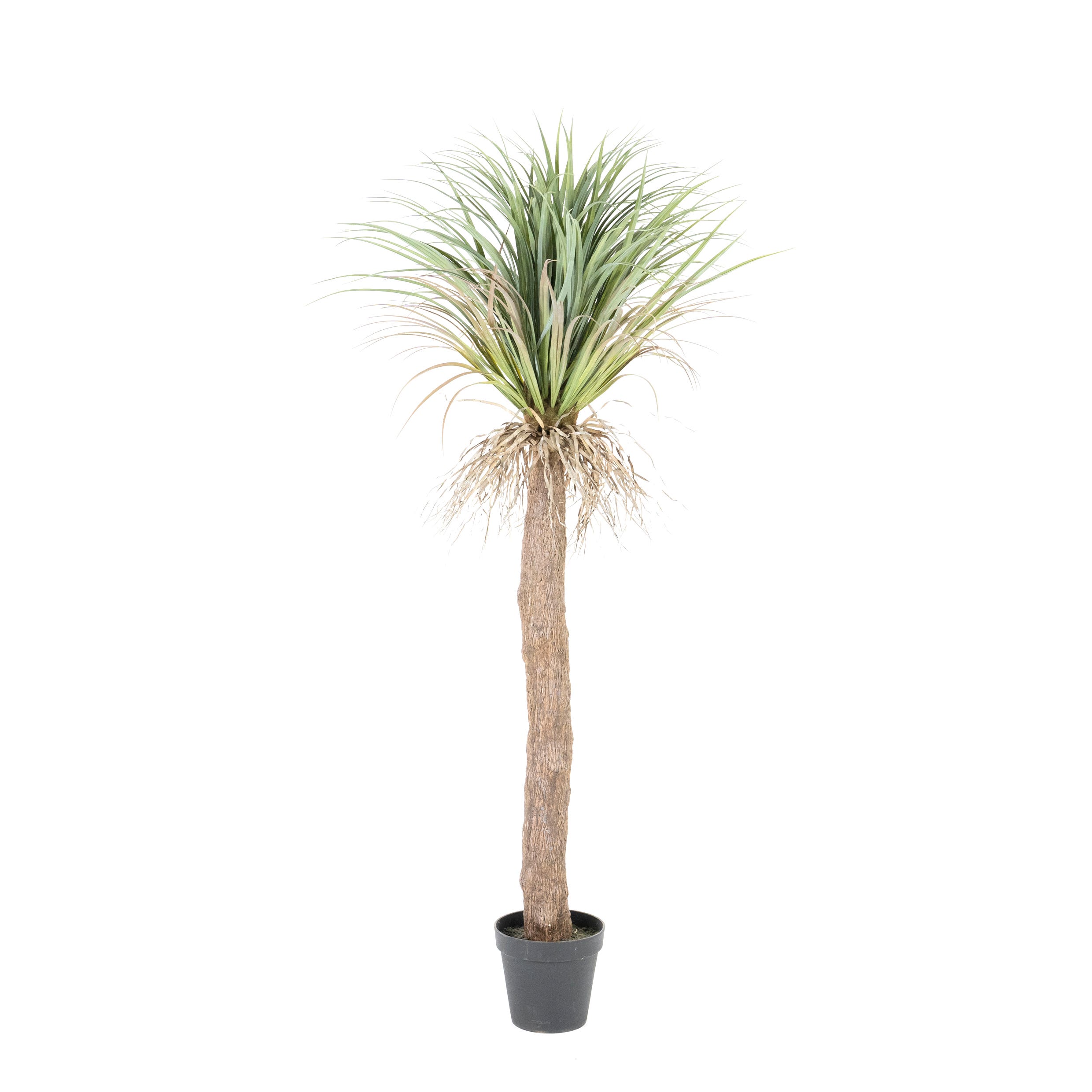 By-Boo Kunstplant Yucca boom – Medium
