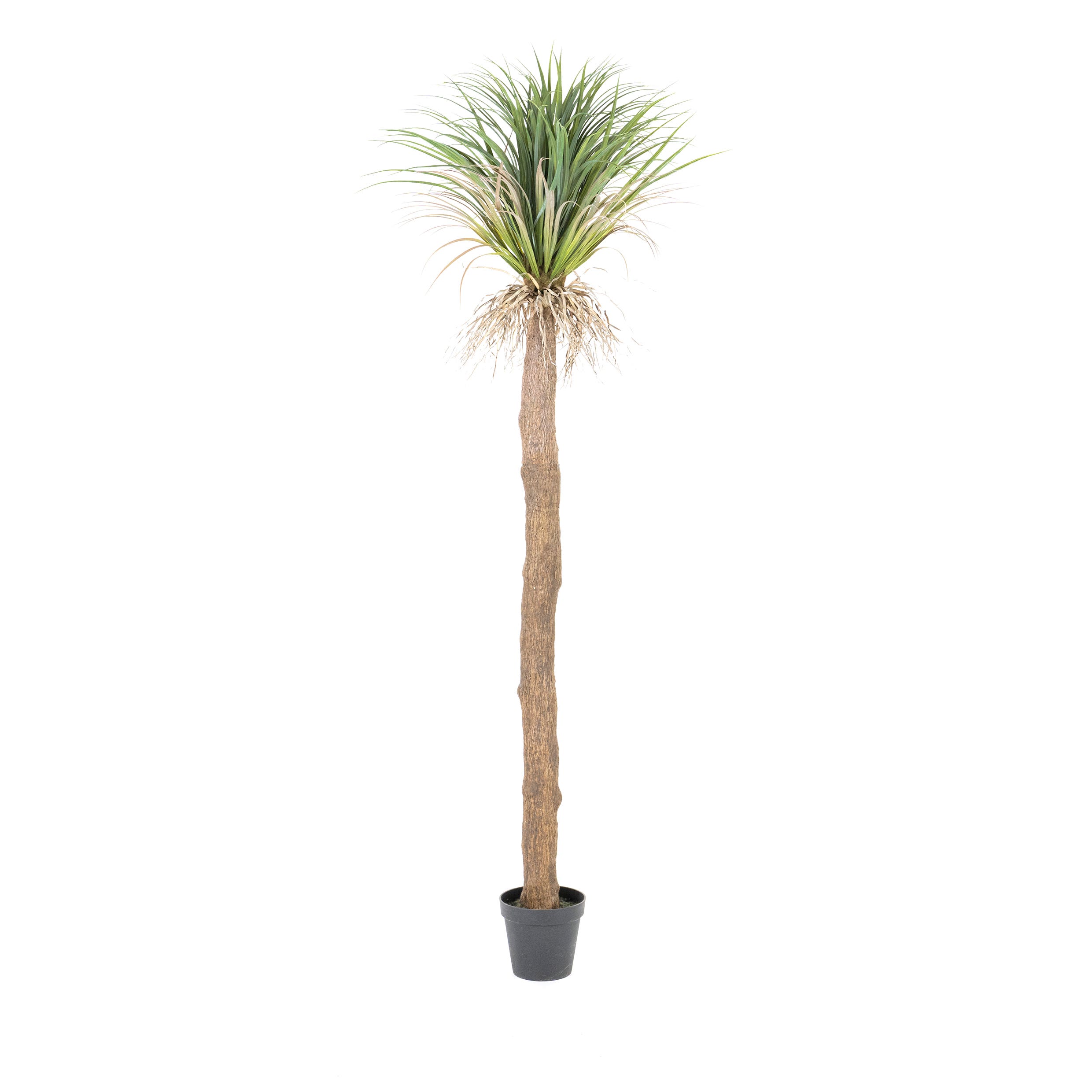 By-Boo Kunstplant Yucca boom – Large