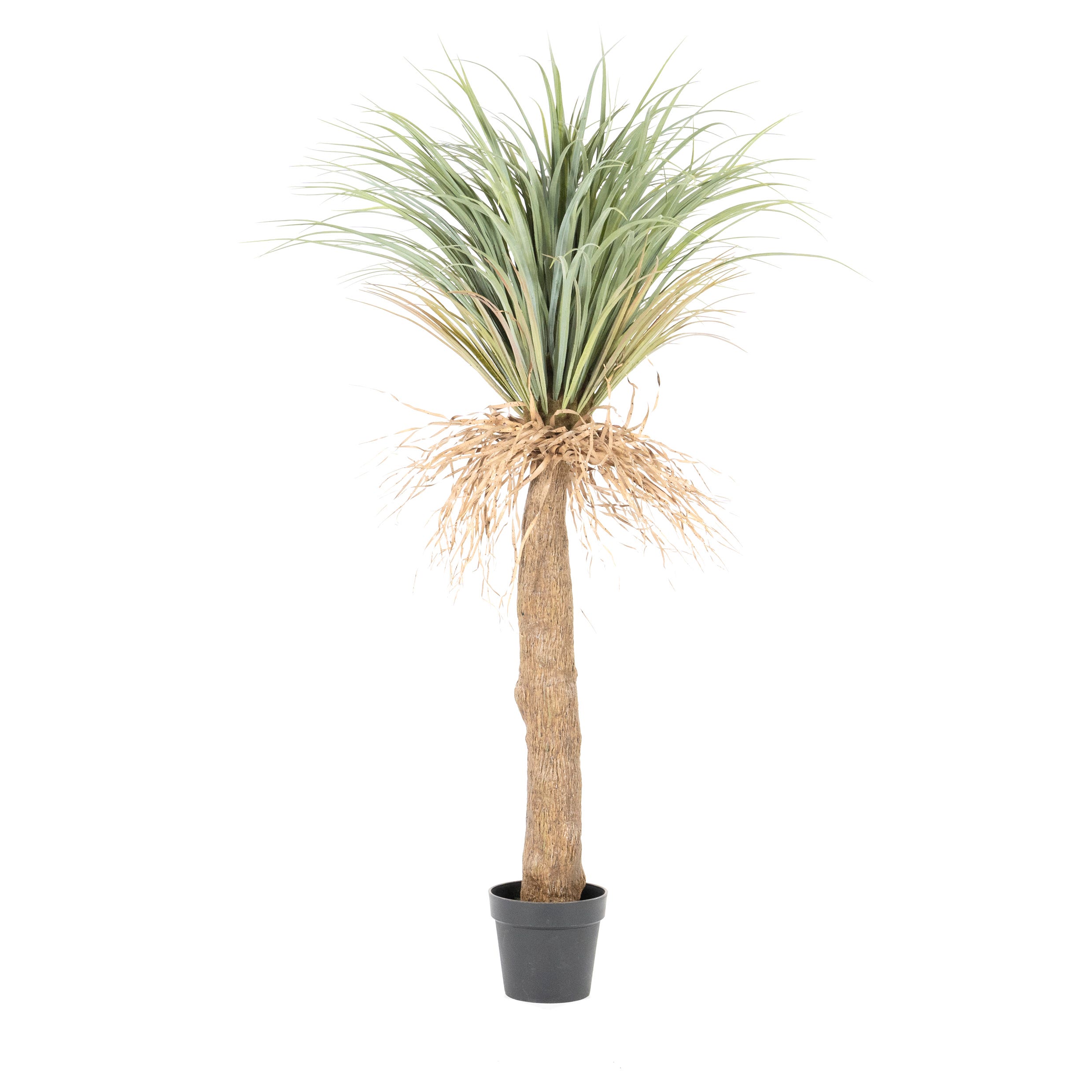 By-Boo Kunstplant Yucca boom – Small